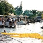 article image - 